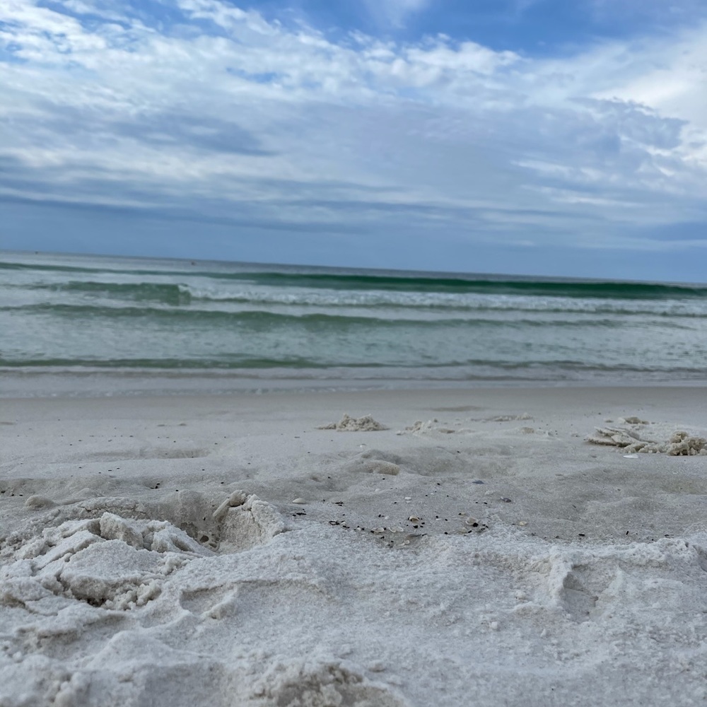 Meet your Posher, Candace